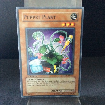 Puppet Plant