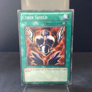 Cyber Shield