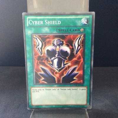 Cyber Shield