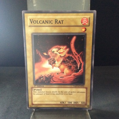 Volcanic Rat