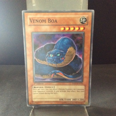 Venom Boa