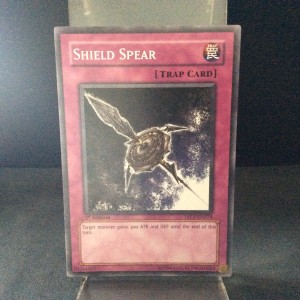 Shield Spear