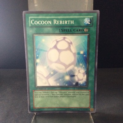 Cocoon Rebirth