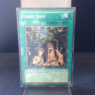 Snake Rain