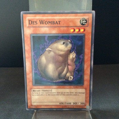 Des Wombat