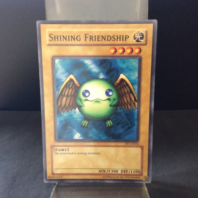 Shining Friendship