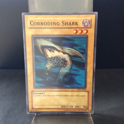 Corroding Shark