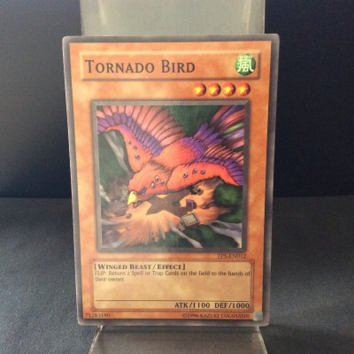 Tornado Bird