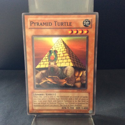 Pyramid Turtle