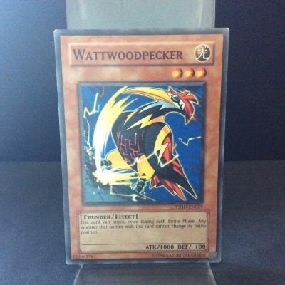 Wattwoodpecker