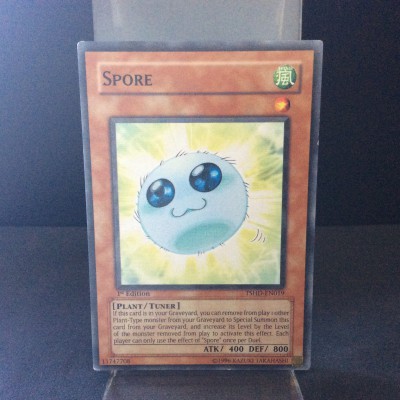 Spore