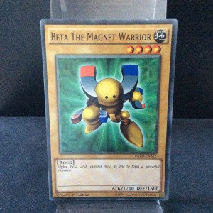 Beta the Magnet Warrior