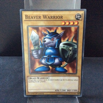 Beaver Warrior