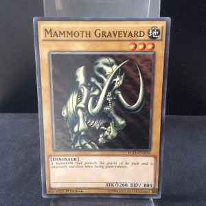 Mammoth Graveyard