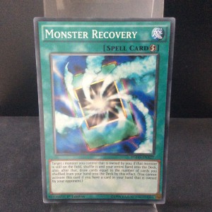 Monster Recovery