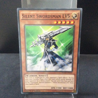 Silent Swordsman LV5