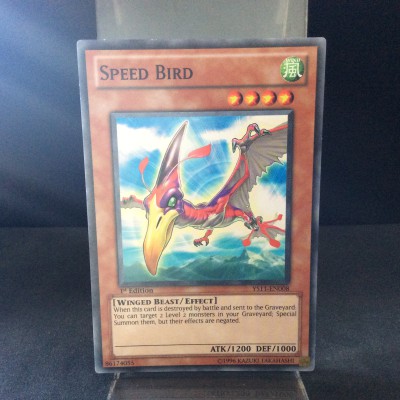 Speed Bird