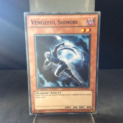 Vengeful Shinobi