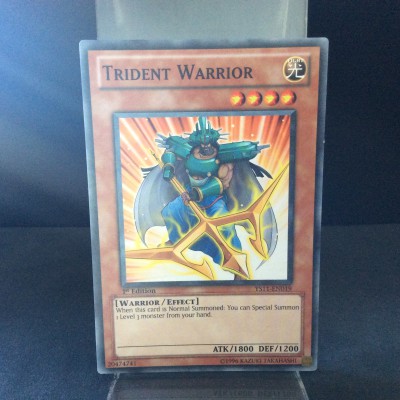 Trident Warrior