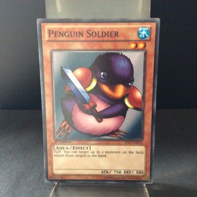 Penguin Soldier