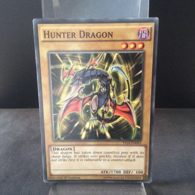 Hunter Dragon