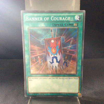 Banner of Courage