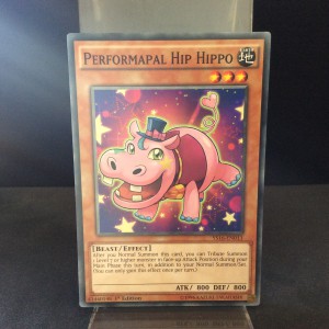 Performapal Hip Hippo