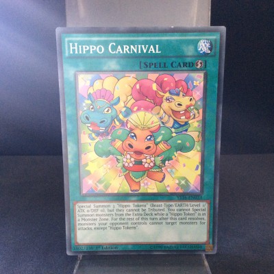 Hippo Carnival