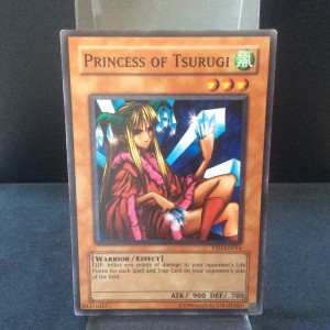Princess of Tsurugi