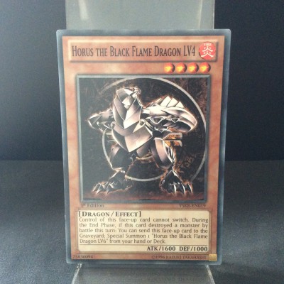 Horus the Black Flame Dragon LV4