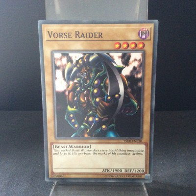 Vorse Raider