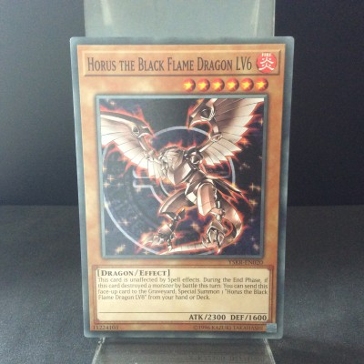 Horus the Black Flame Dragon LV6