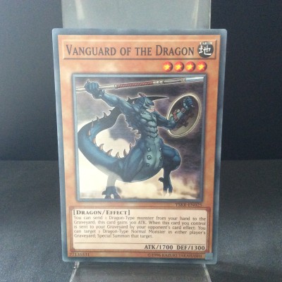 Vanguard of the Dragon