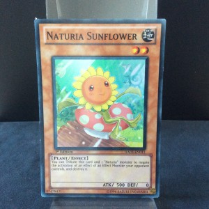 Naturia Sunflower