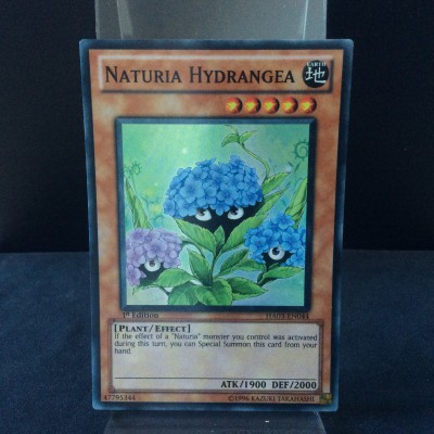 Naturia Hydrangea